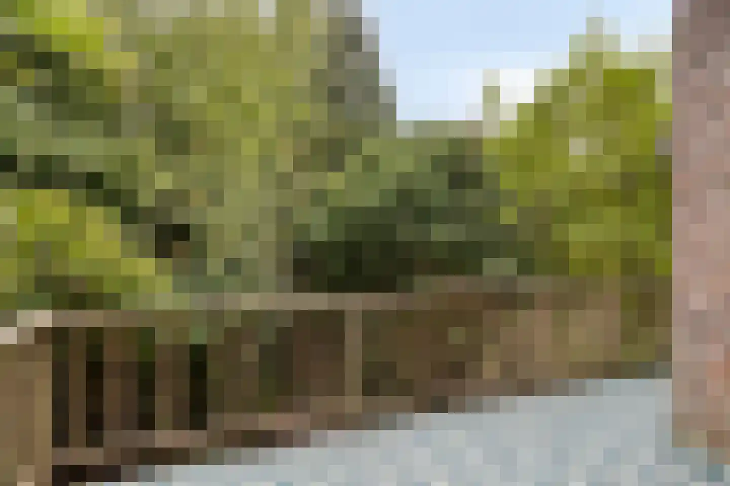 Graafseweg 241 E 's-Hertogenbosch thumbnail 7