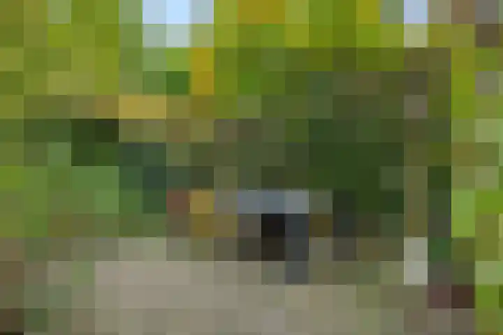 Graafseweg 241 F 's-Hertogenbosch thumbnail 28