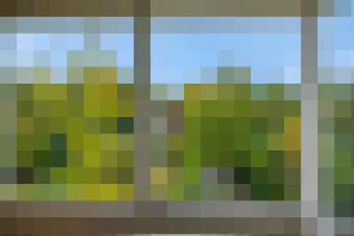 Graafseweg 241 F 's-Hertogenbosch thumbnail 47