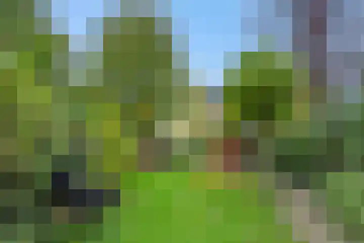 Graafseweg 241 F 's-Hertogenbosch thumbnail 7