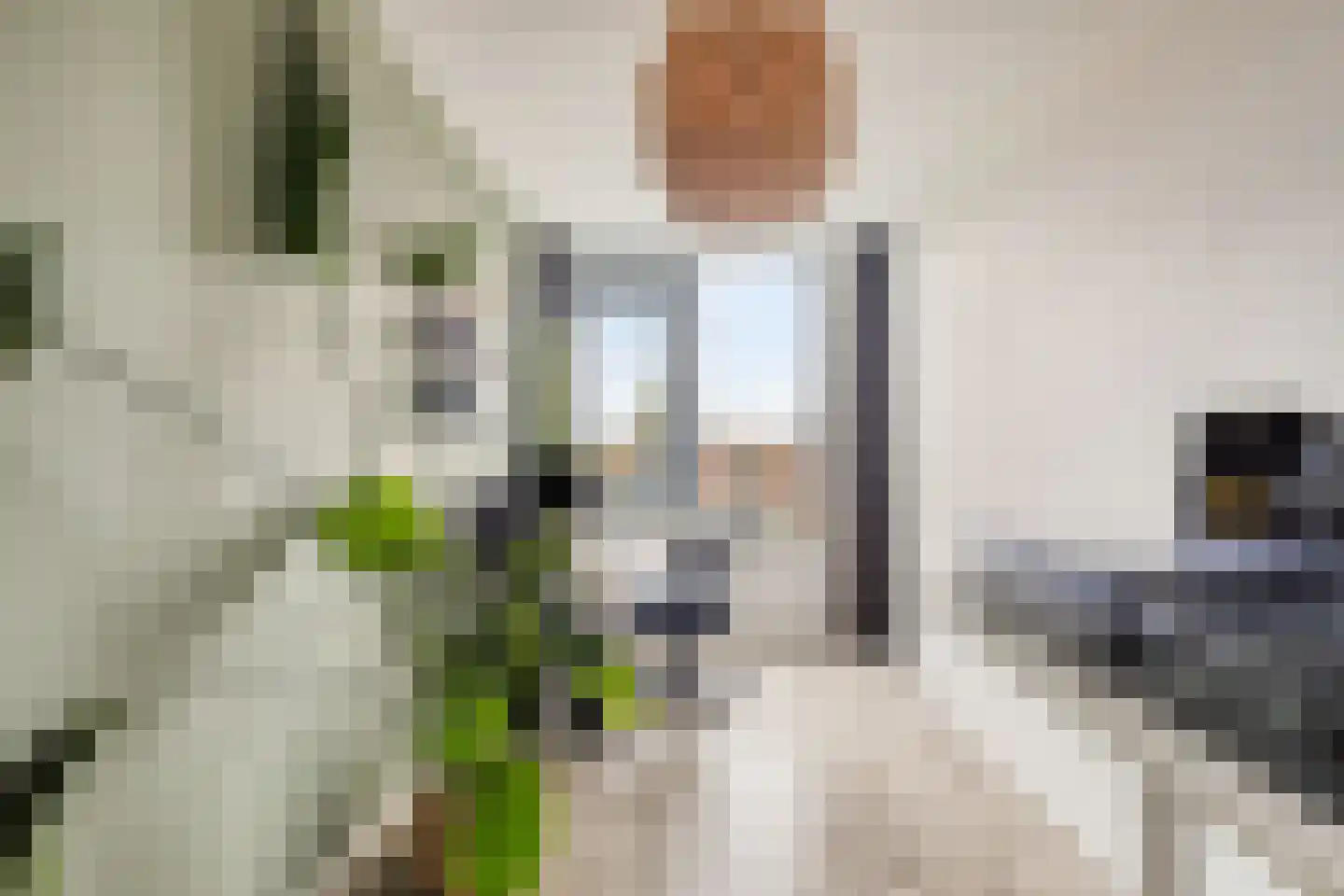 Graafseweg 247 N Nijmegen thumbnail 15