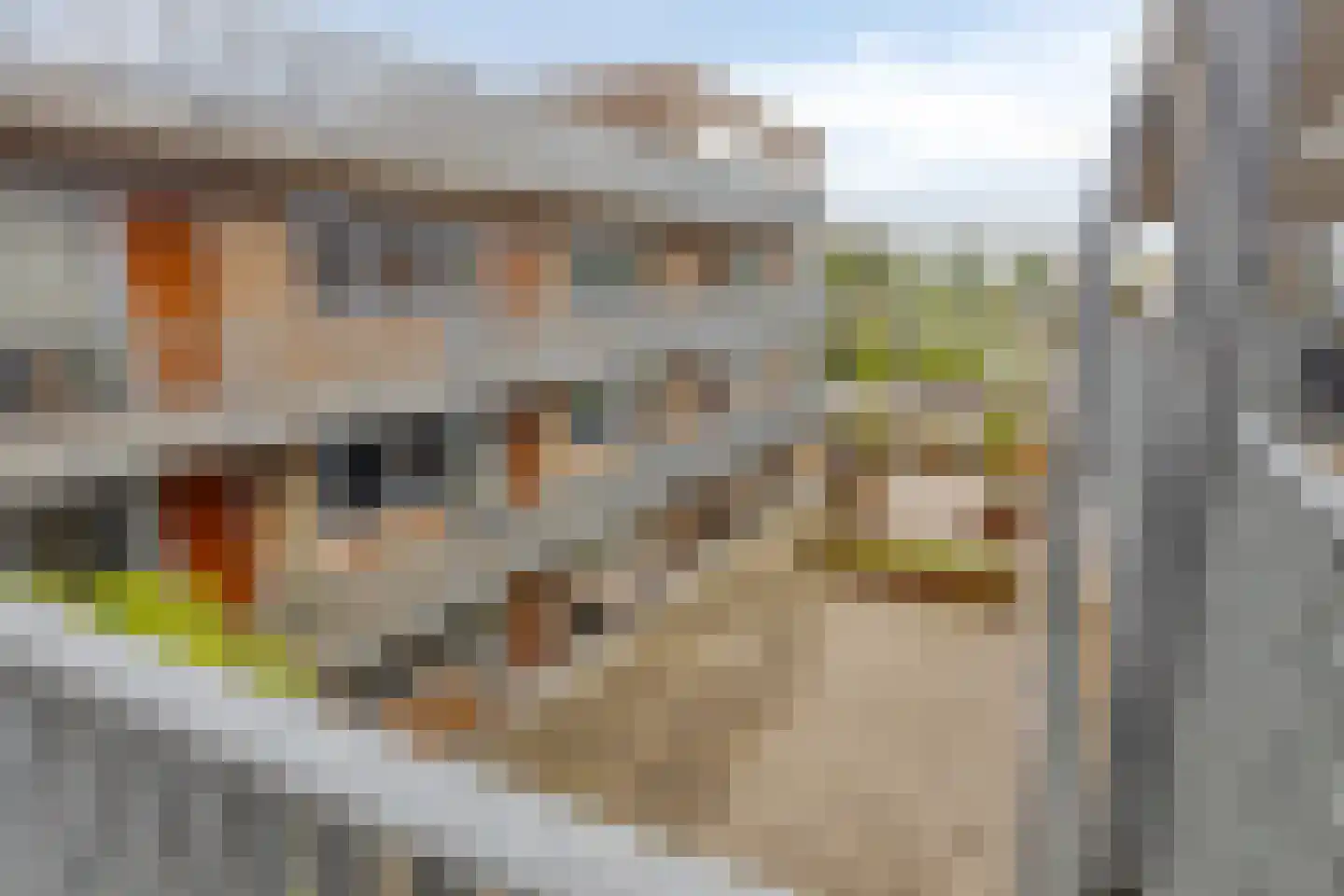Graafseweg 247 N Nijmegen thumbnail 25