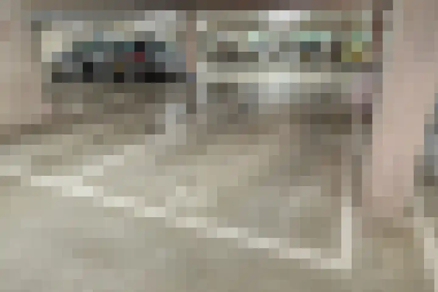 Graafseweg 247 N Nijmegen thumbnail 32