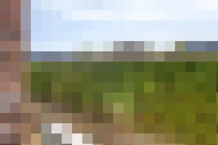 Graafseweg 249 D Nijmegen thumbnail 25