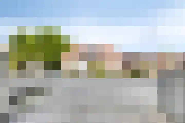 Graafseweg 249 D Nijmegen thumbnail 29