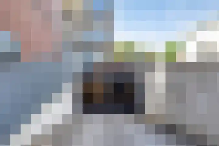 Graafseweg 249 P Nijmegen thumbnail 23
