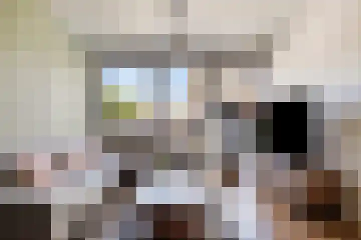 Graafseweg 249 P Nijmegen thumbnail 5