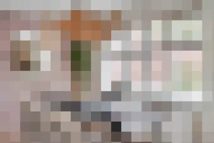 Graafseweg 255 G 's-Hertogenbosch thumbnail 13