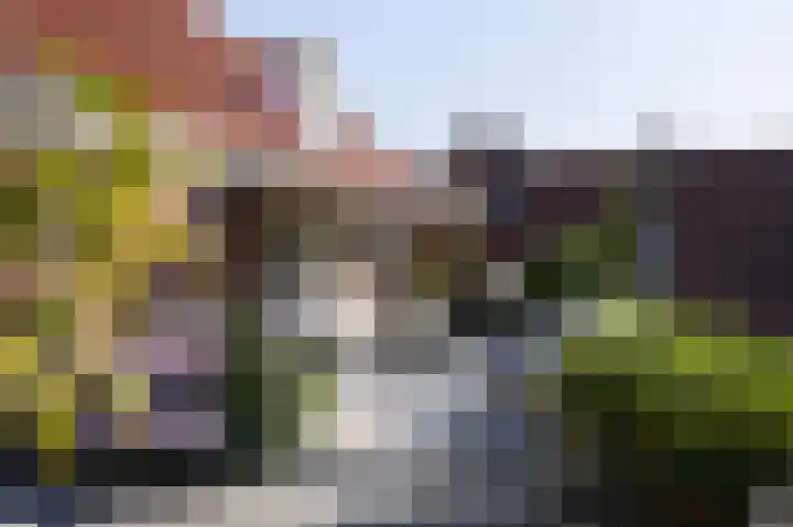 Graafseweg 255 G 's-Hertogenbosch thumbnail 17