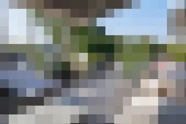 Graafseweg 255 G 's-Hertogenbosch thumbnail 18