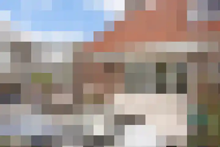 Graafseweg 255 G 's-Hertogenbosch thumbnail 22