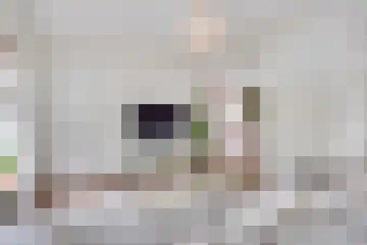 Graafseweg 255 G 's-Hertogenbosch thumbnail 9