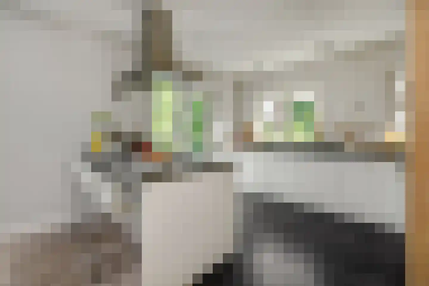 Graafseweg 262 's-Hertogenbosch thumbnail 10