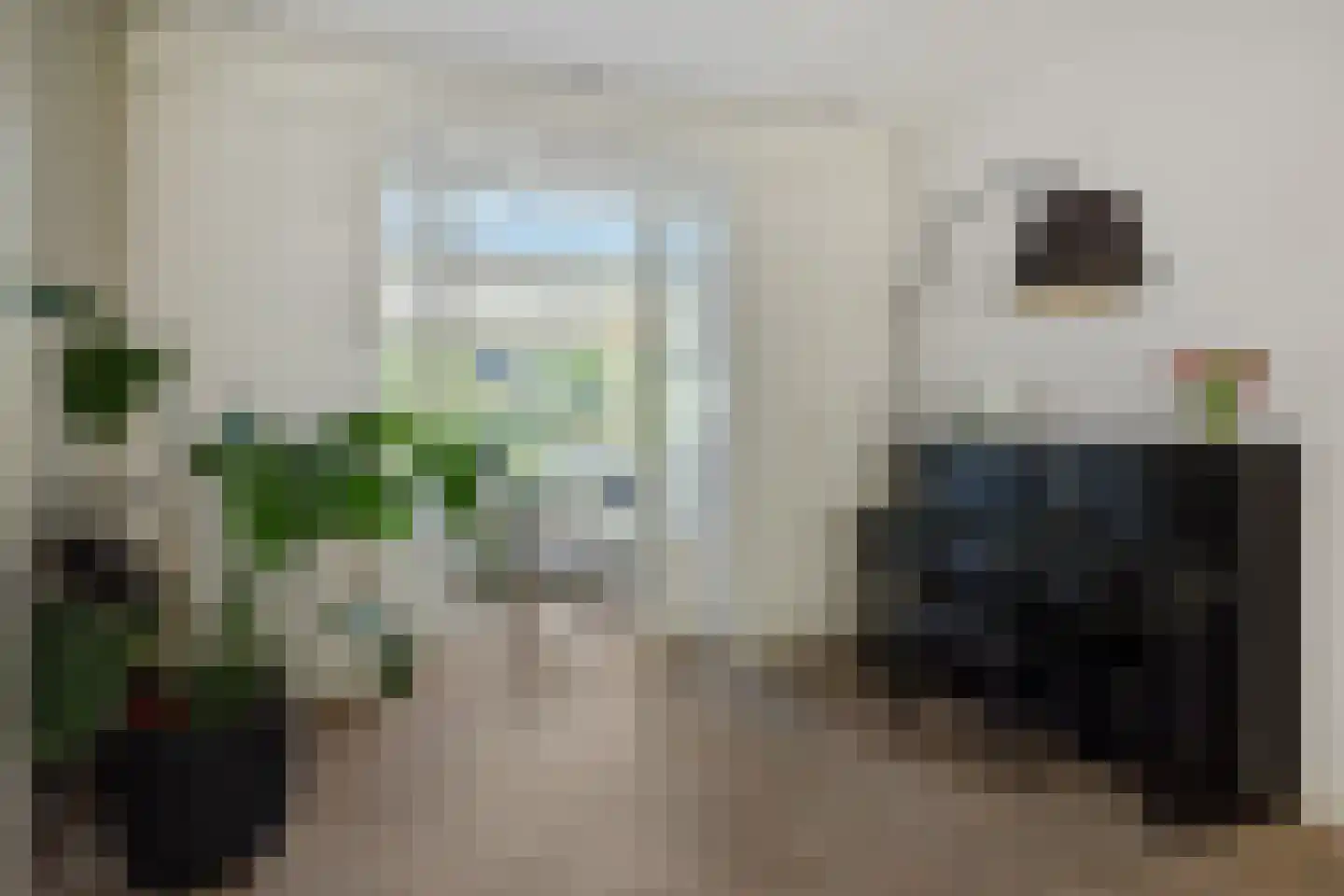 Graafseweg 262 's-Hertogenbosch thumbnail 19