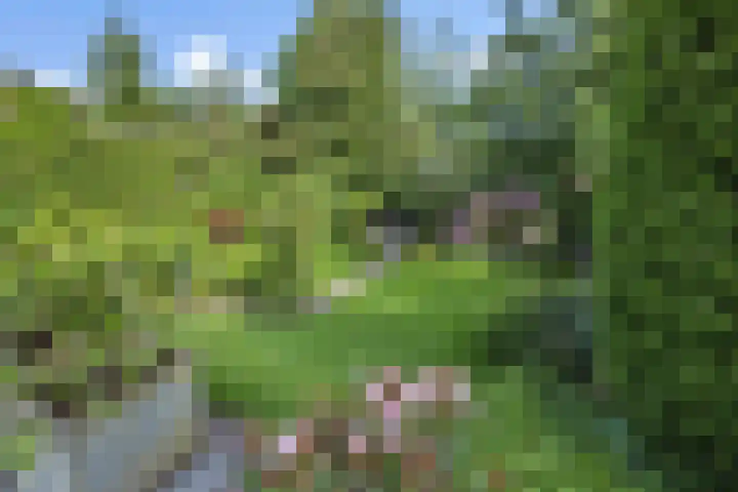 Graafseweg 262 's-Hertogenbosch thumbnail 26