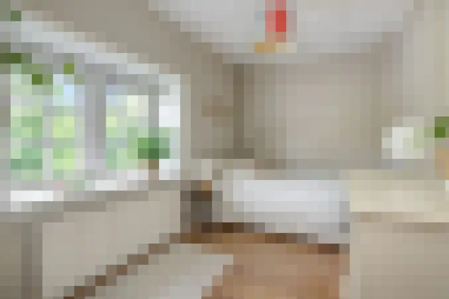 Graafseweg 262 's-Hertogenbosch thumbnail 39
