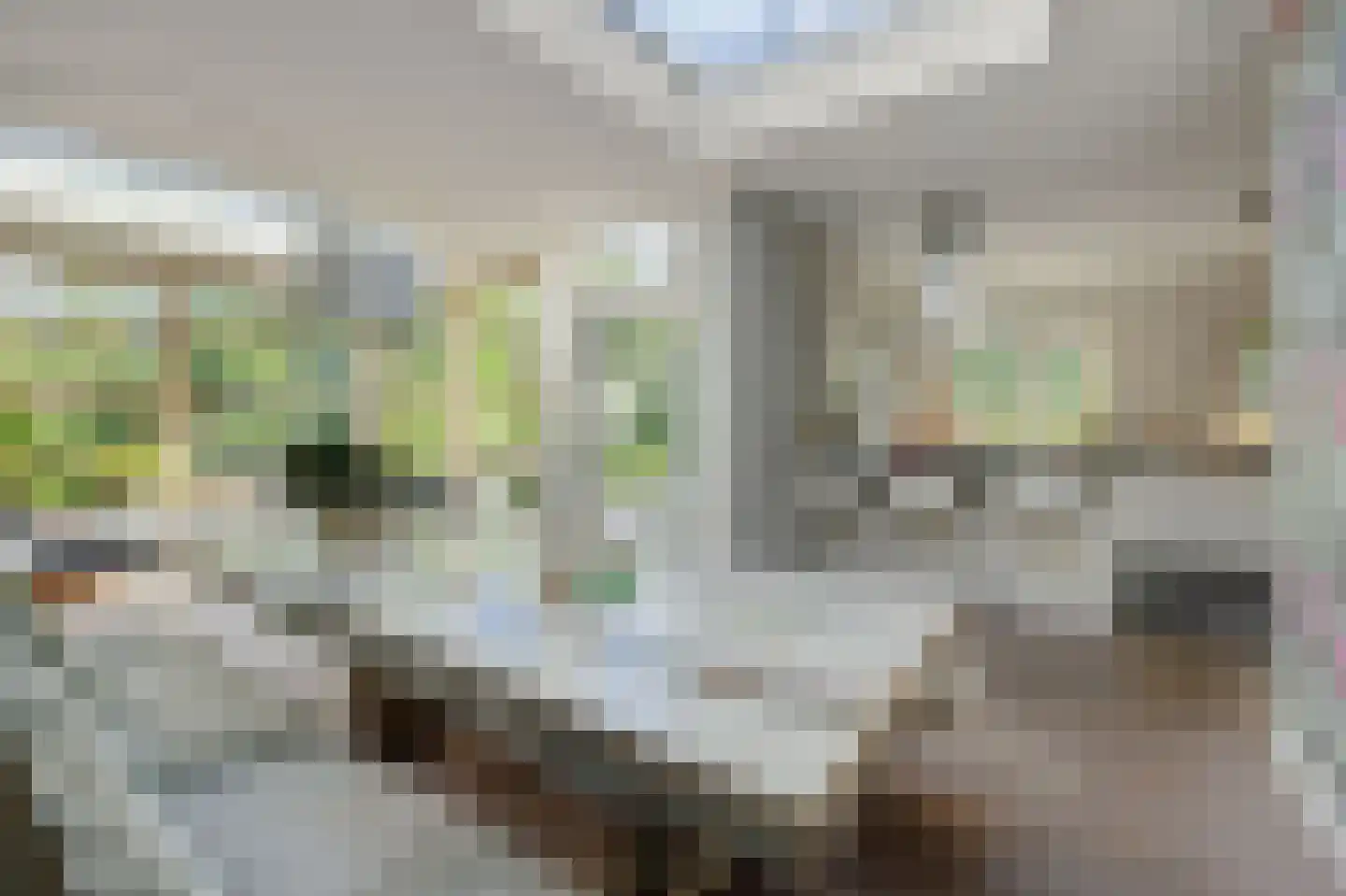 Graafseweg 262 's-Hertogenbosch thumbnail 4