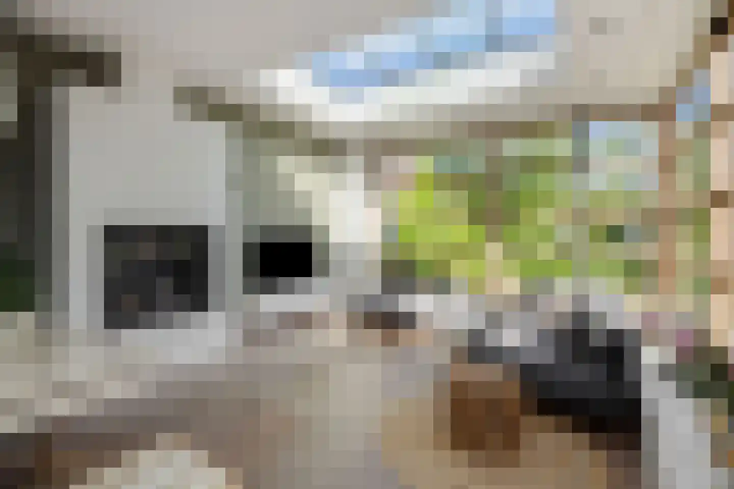 Graafseweg 262 's-Hertogenbosch thumbnail 6