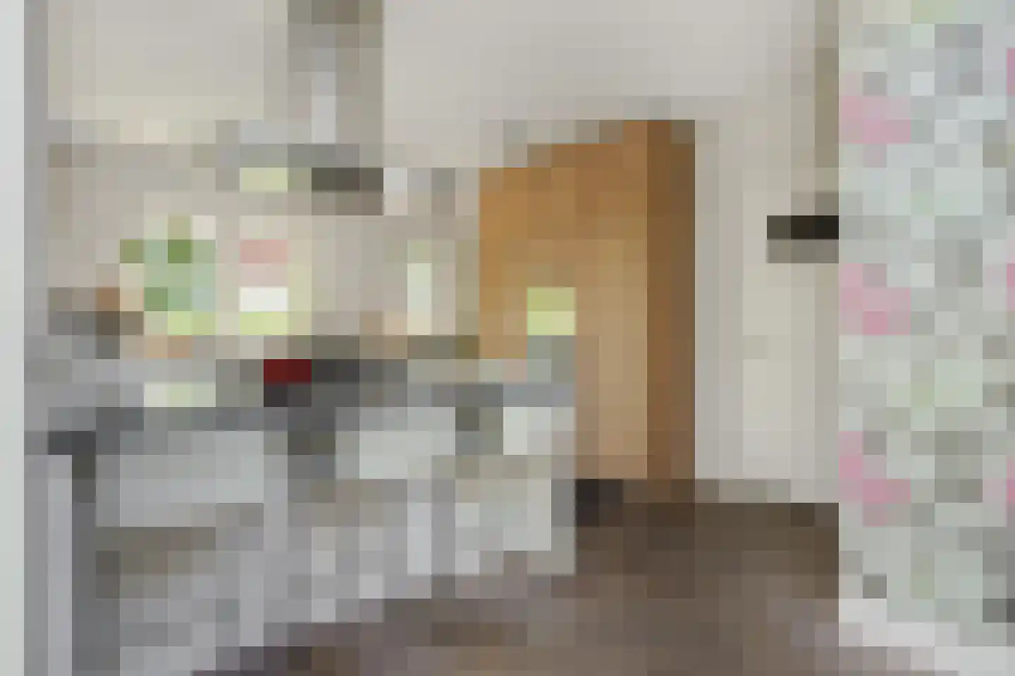 Graafseweg 262 's-Hertogenbosch thumbnail 9