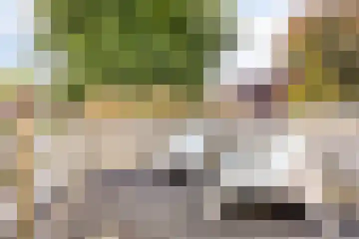 Graafseweg 267 's-Hertogenbosch thumbnail 38