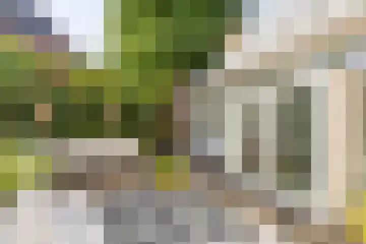 Graafseweg 267 's-Hertogenbosch thumbnail 49