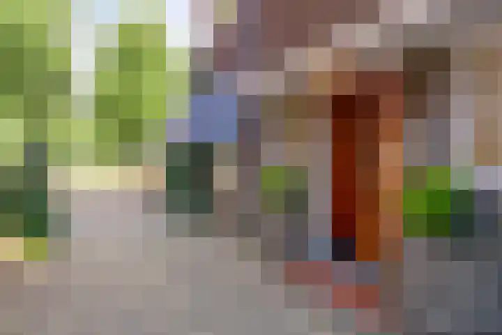 Graafseweg 267 's-Hertogenbosch thumbnail 5