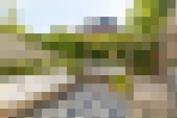 Graafseweg 267 's-Hertogenbosch thumbnail 51