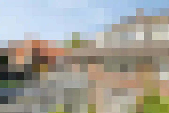 Graafseweg 267 's-Hertogenbosch thumbnail 57