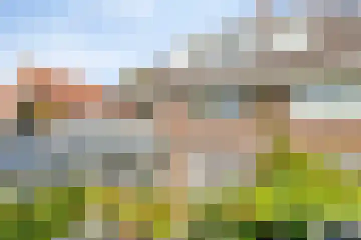 Graafseweg 267 's-Hertogenbosch thumbnail 58