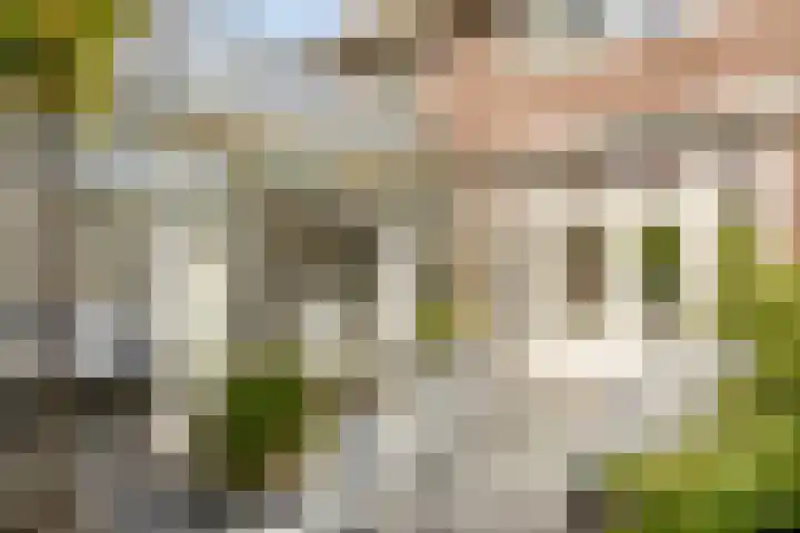Graafseweg 267 's-Hertogenbosch thumbnail 59