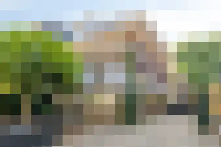 Graafseweg 267 's-Hertogenbosch thumbnail 61