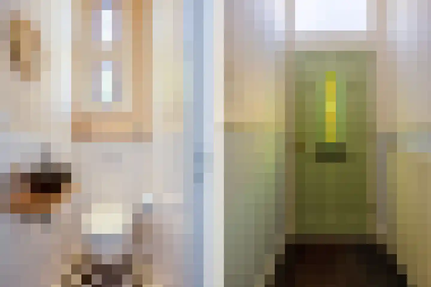 Graafseweg 283 Nijmegen thumbnail 14