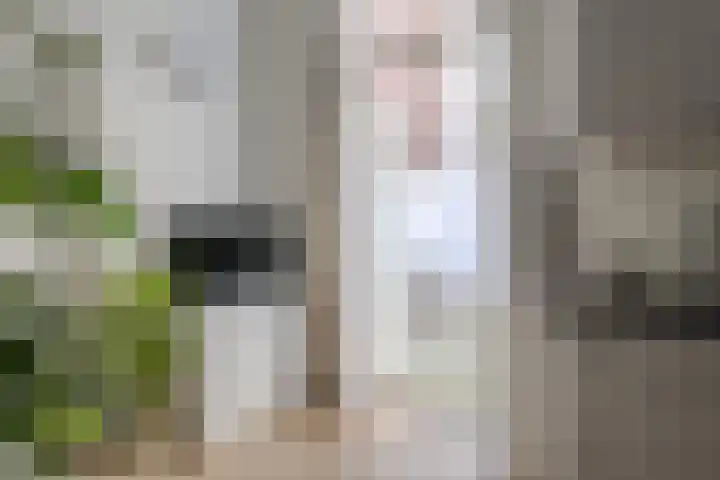 Graafseweg 29 B Nijmegen thumbnail 13