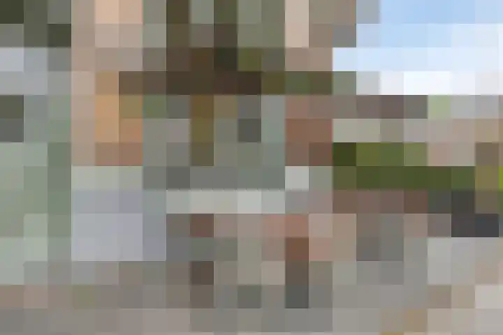 Graafseweg 29 E Nijmegen thumbnail 25