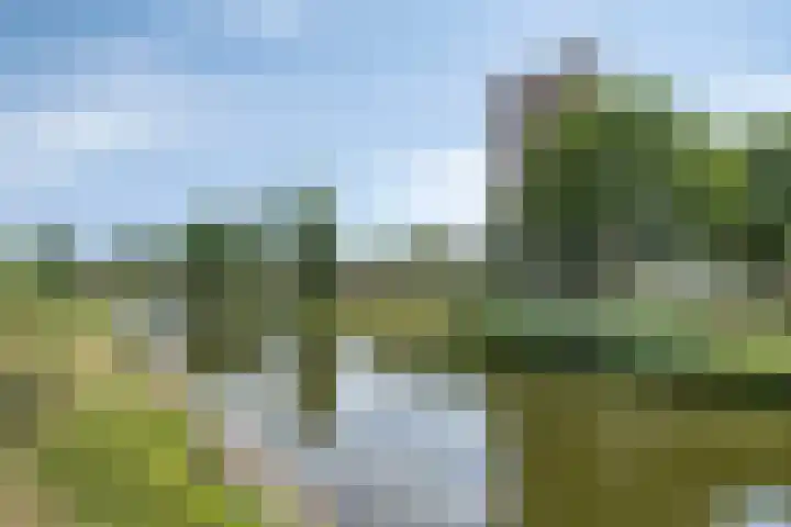 Graafseweg 4 A 's-Hertogenbosch thumbnail 20