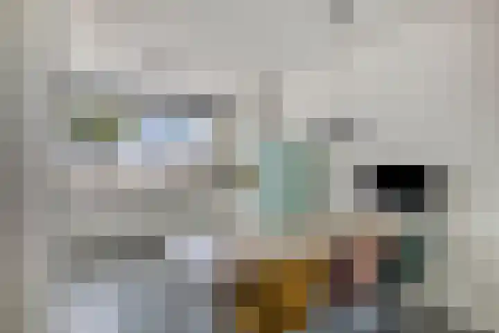 Graafseweg 4 A 's-Hertogenbosch thumbnail 7