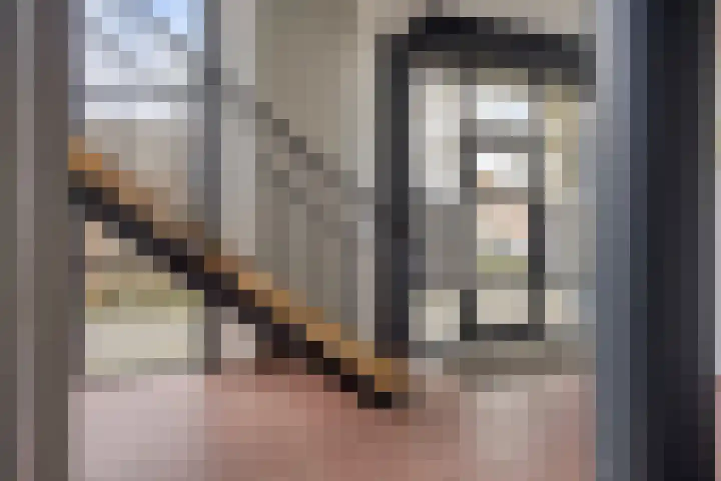Graafseweg 47 D Nijmegen thumbnail 21