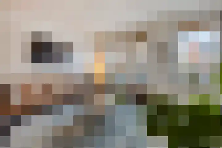 Graafseweg 47 H Nijmegen thumbnail 10