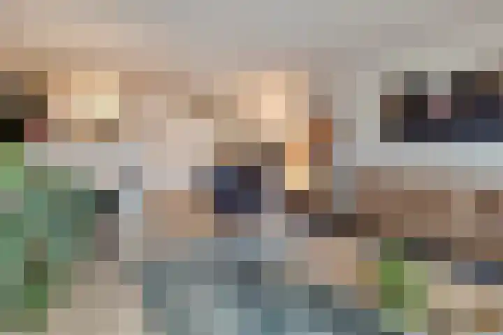 Graafseweg 47 H Nijmegen thumbnail 12