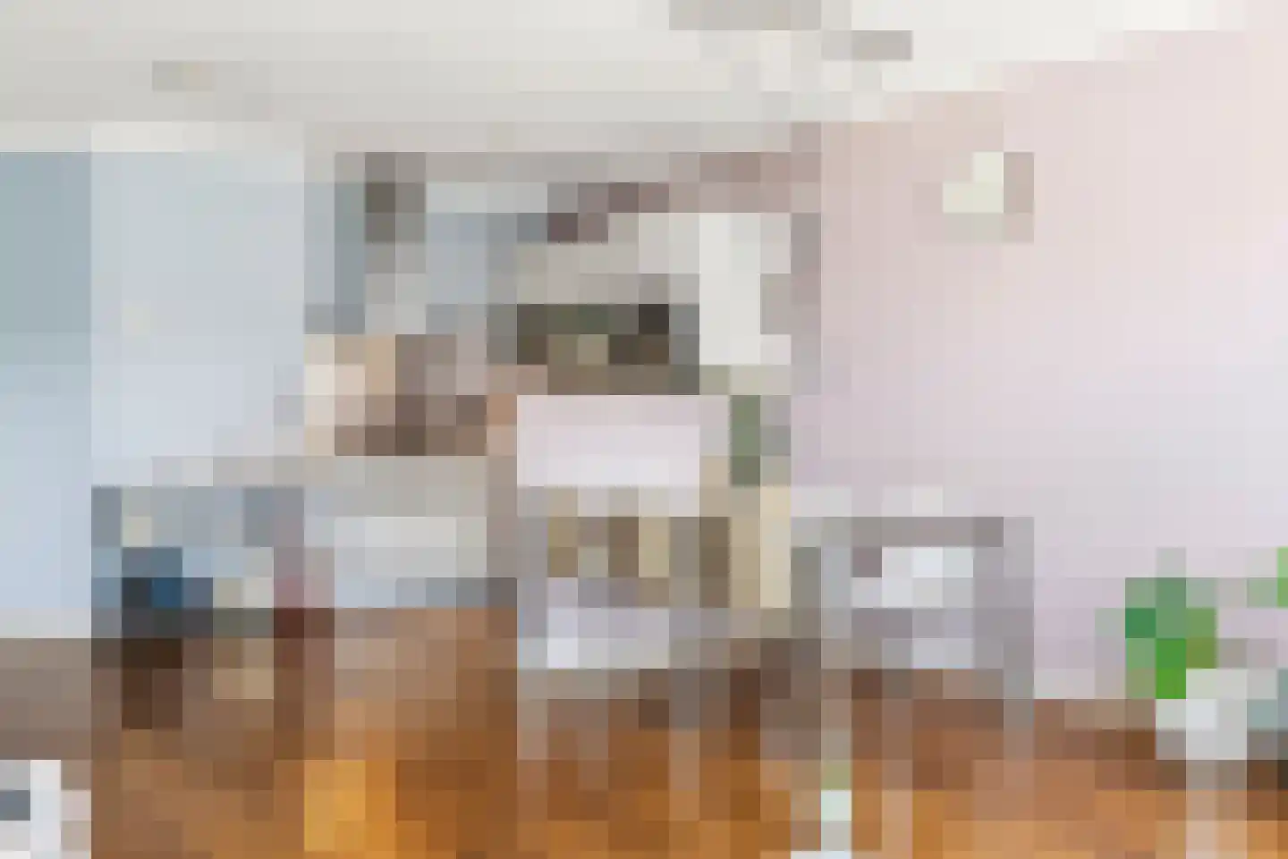 Graafseweg 47 K Nijmegen thumbnail 12