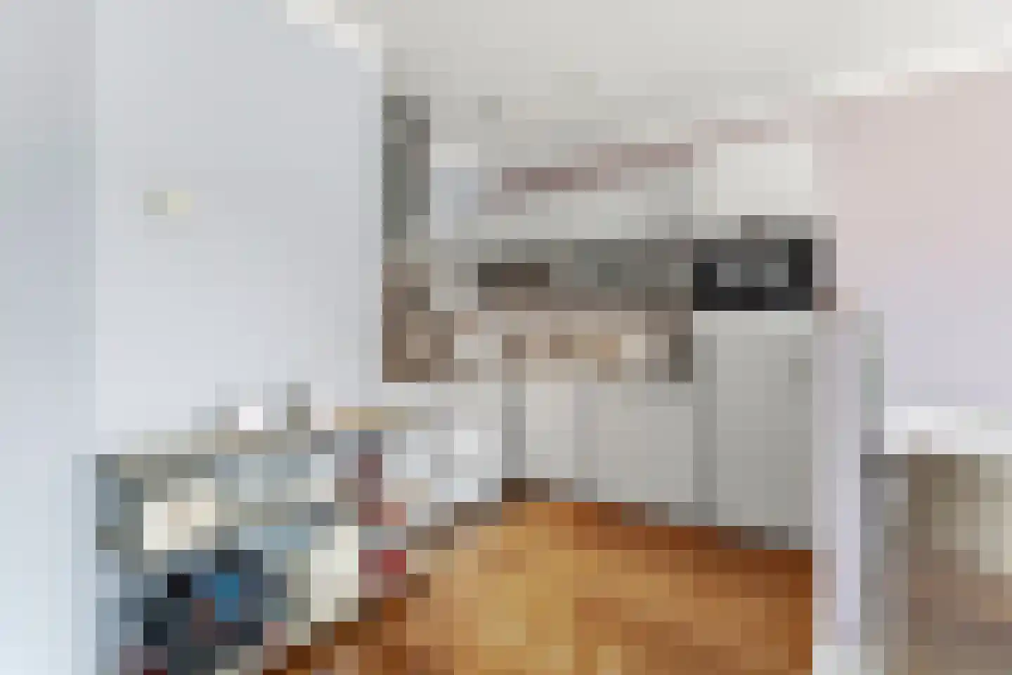 Graafseweg 47 K Nijmegen thumbnail 14