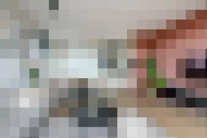 Graafseweg 47 X Nijmegen thumbnail 18