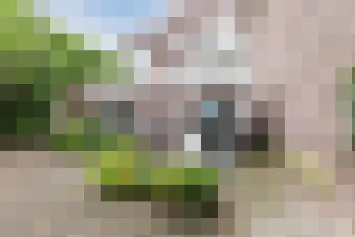 Graafseweg 6 C Nijmegen thumbnail 13