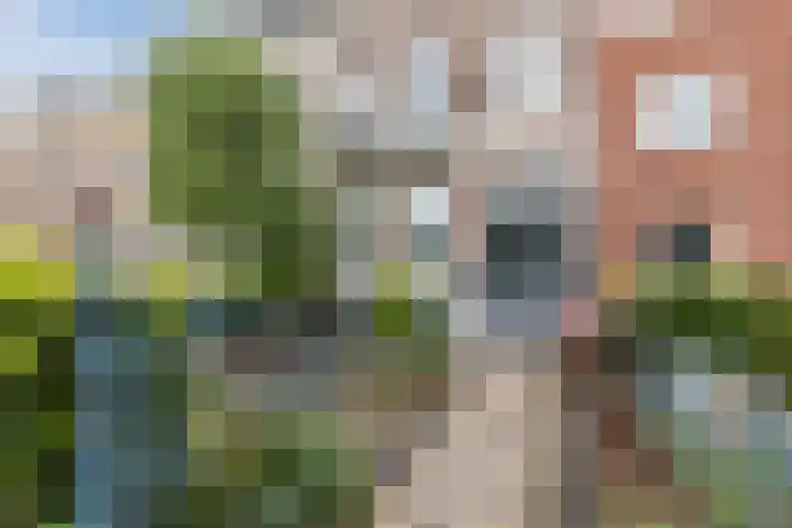 Graafseweg 6 C Nijmegen thumbnail 16