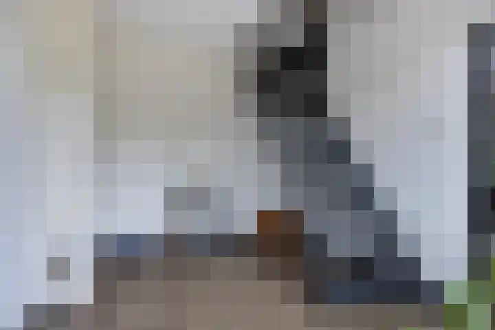 Graafseweg 668 Wijchen thumbnail 14