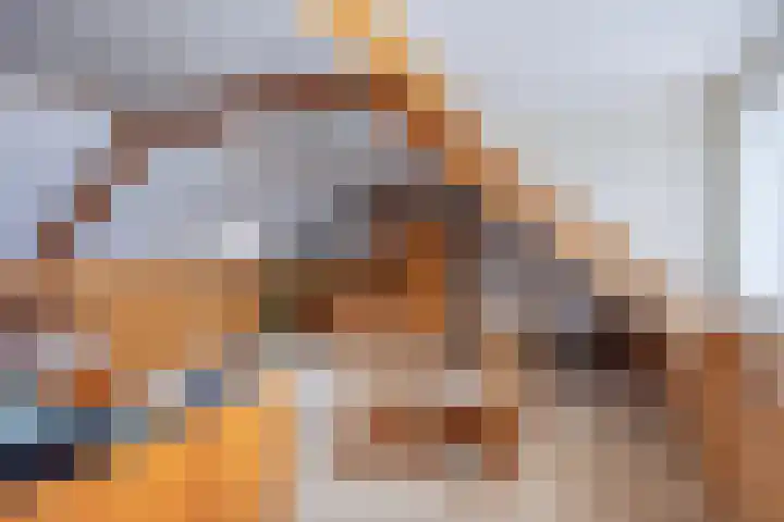 Graafseweg 668 Wijchen thumbnail 25
