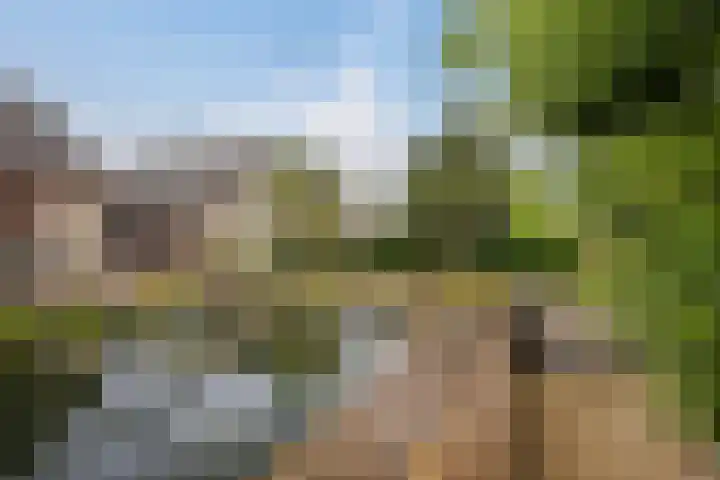 Graafseweg 668 Wijchen thumbnail 33