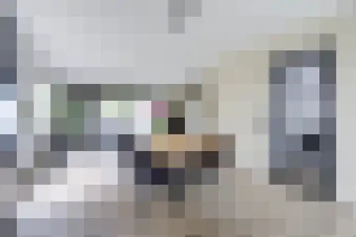 Graafseweg 687 Wijchen thumbnail 18