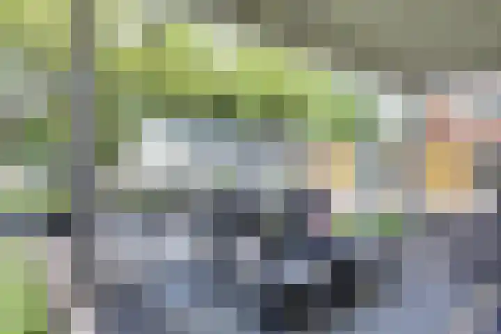 Graafseweg 687 Wijchen thumbnail 52