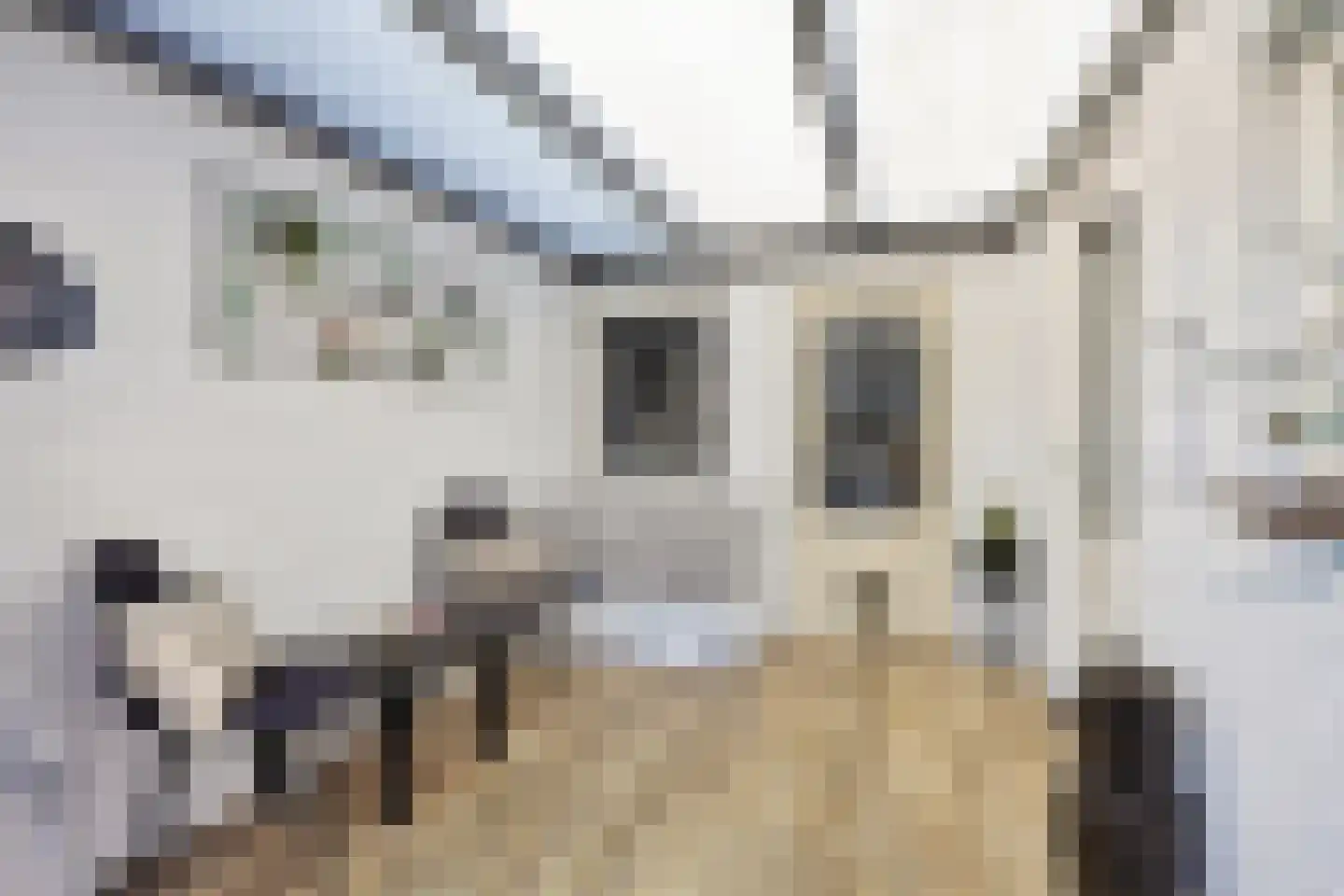 Graafseweg 7 Boxmeer thumbnail 26